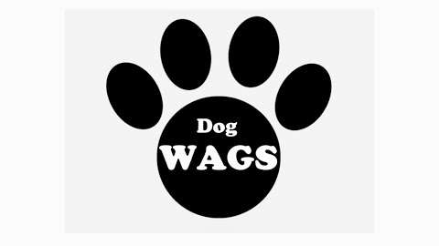 Dog WAGS
